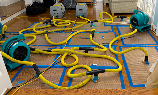 Professional Sewage Cleanup technician working in Gunlock, UT